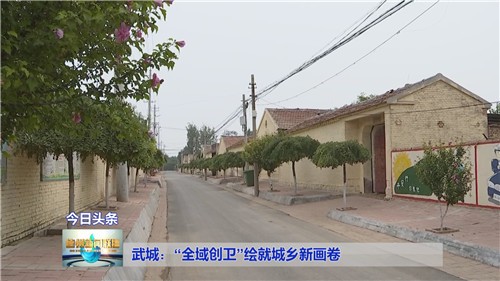 德州武城"全域创卫"绘就城乡新画卷