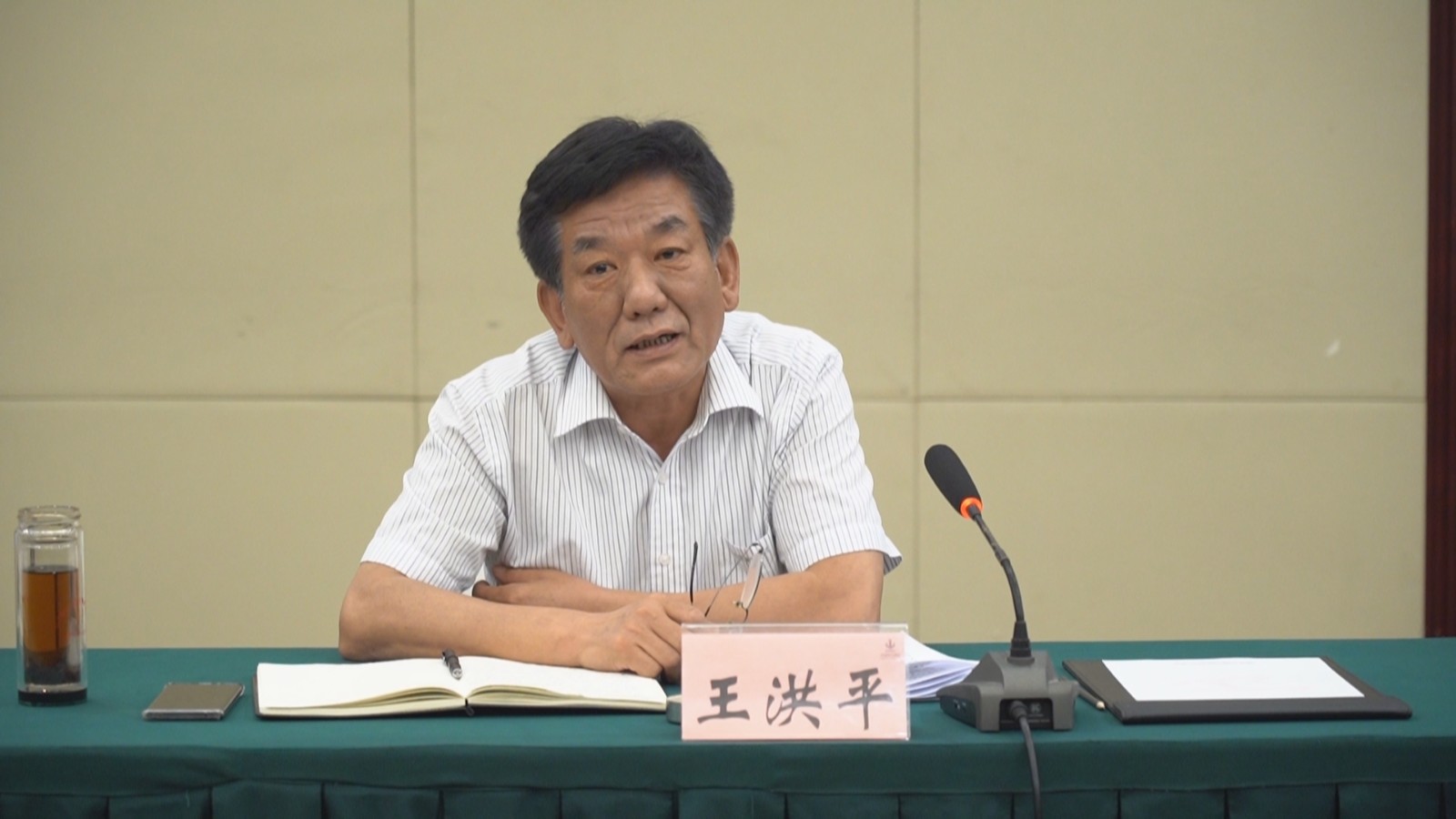 王洪平一行来我市调研促消费政策落实情况
