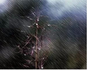 周三或有雨夹雪!
