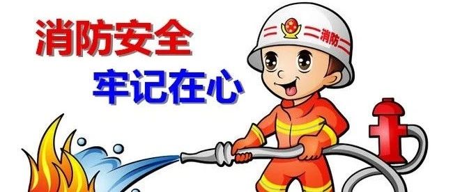 苗山镇中心幼儿园:消防安全 牢记在心