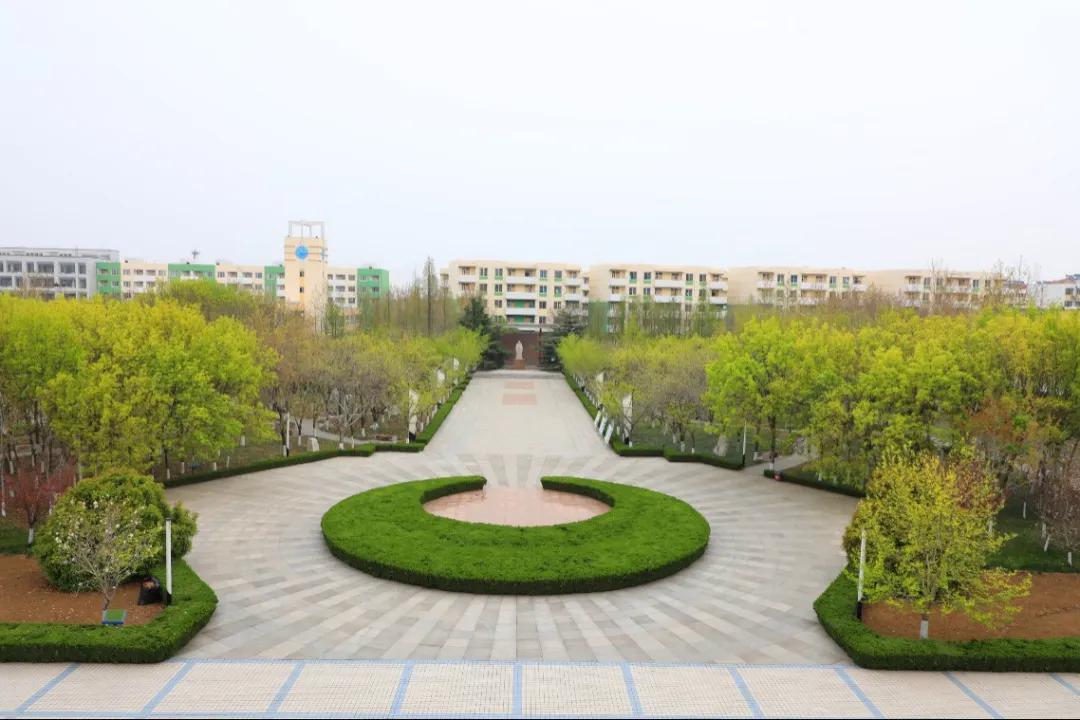 空间生态校园是这个春天里最美的风景浪漫的樱花樱花全部盛装开放四