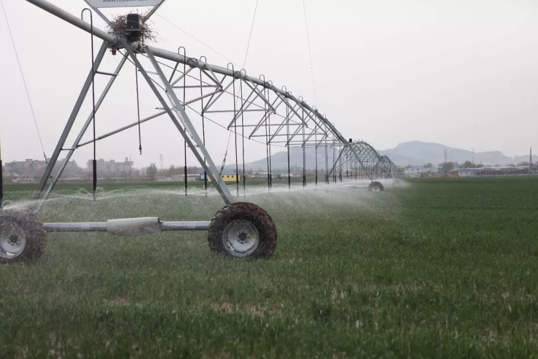 车为萝卜苗撒肥,长约200米,有90个喷头的大型指针式喷灌机正在工作