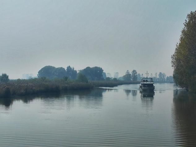 【原创】山东枣庄：国家湿地公园滕州微山湖红荷湿地景区_fororder_滕州5