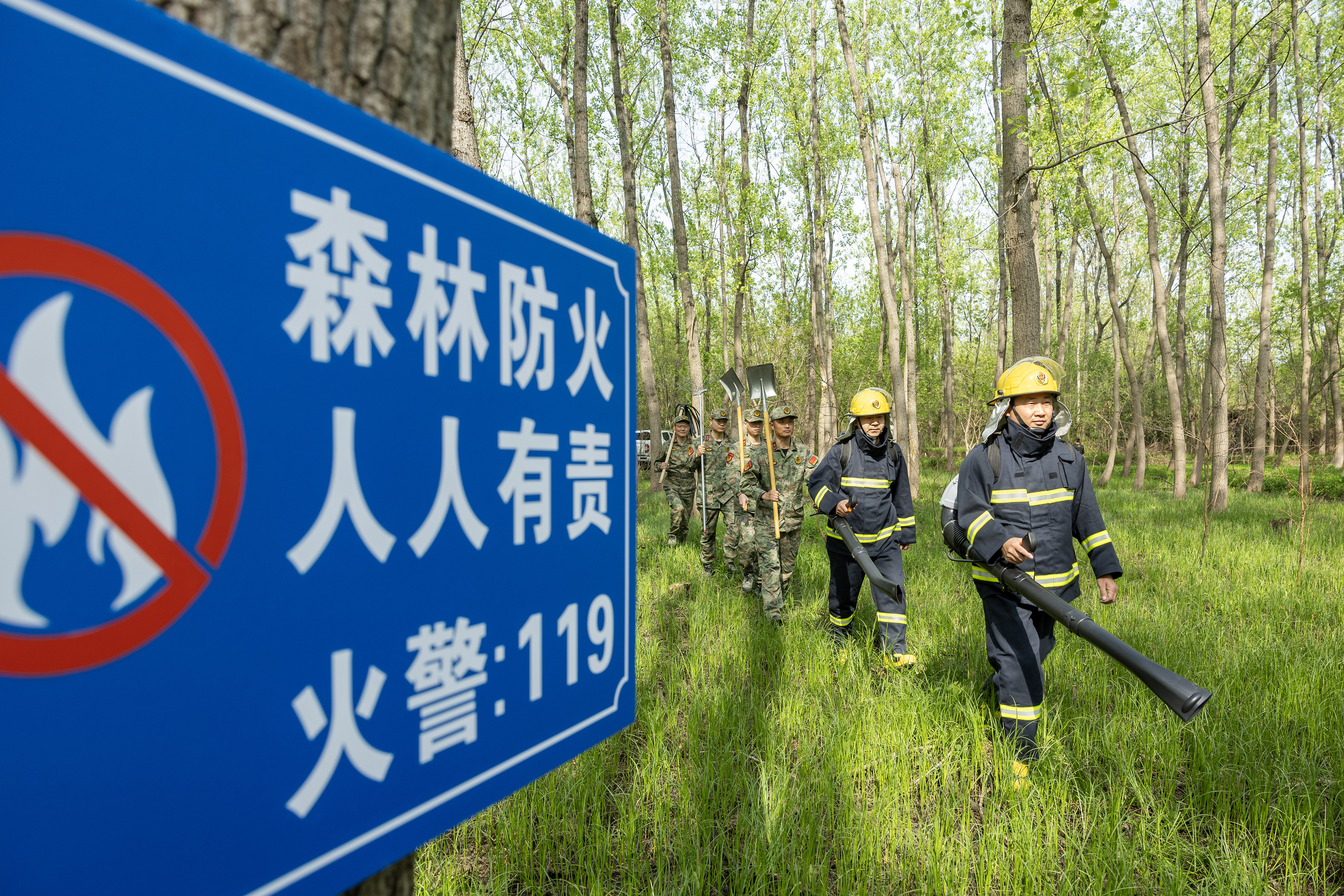2024年4月9日，合肥市大房郢水庫水源保護地廬陽經(jīng)濟開發(fā)區(qū)段，基干民兵正在林間巡查火災(zāi)隱患。