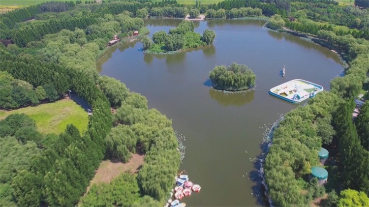 韩店镇：凝心聚力