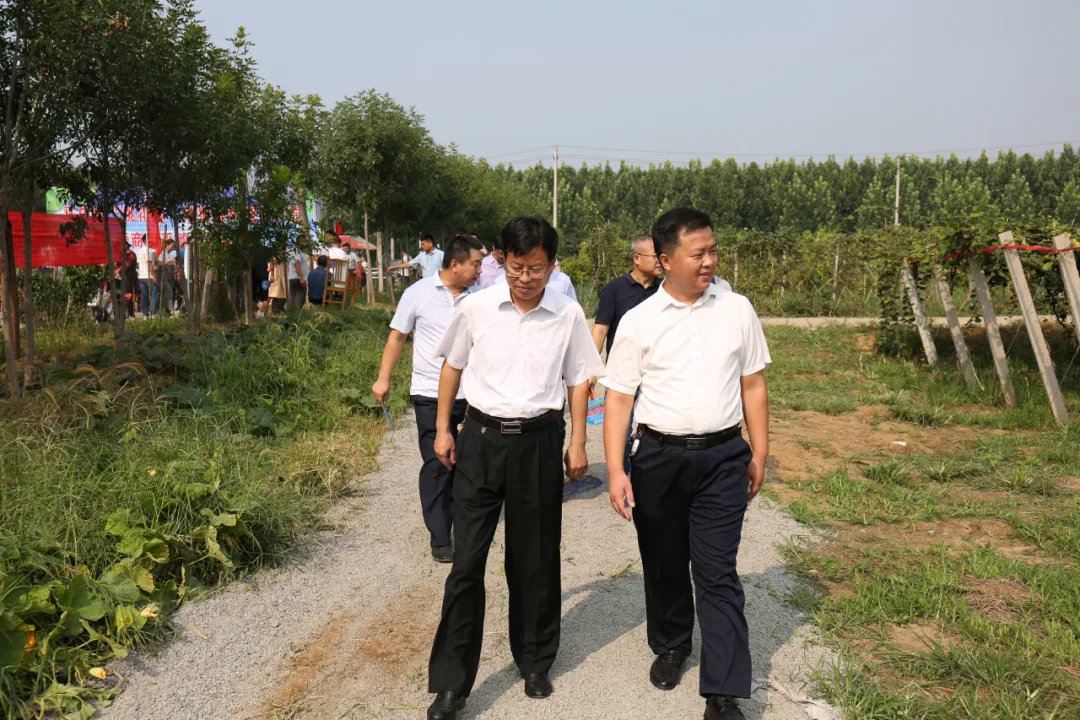 甜猕相约黛溪街道马庄村桃花源猕猴桃种植园开园啦来尝遍你不知道的