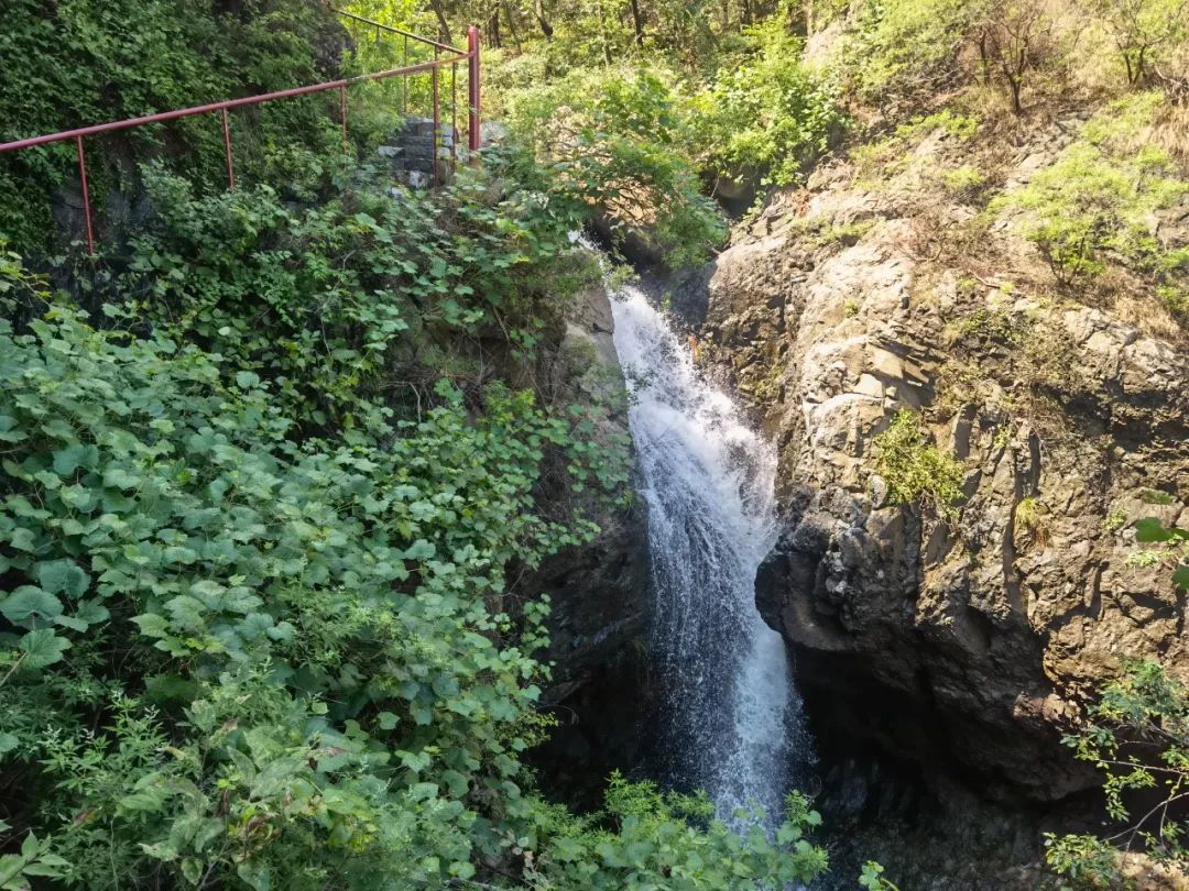 邹平:雨后鹤伴山泉奔涌 美出颜值新高度