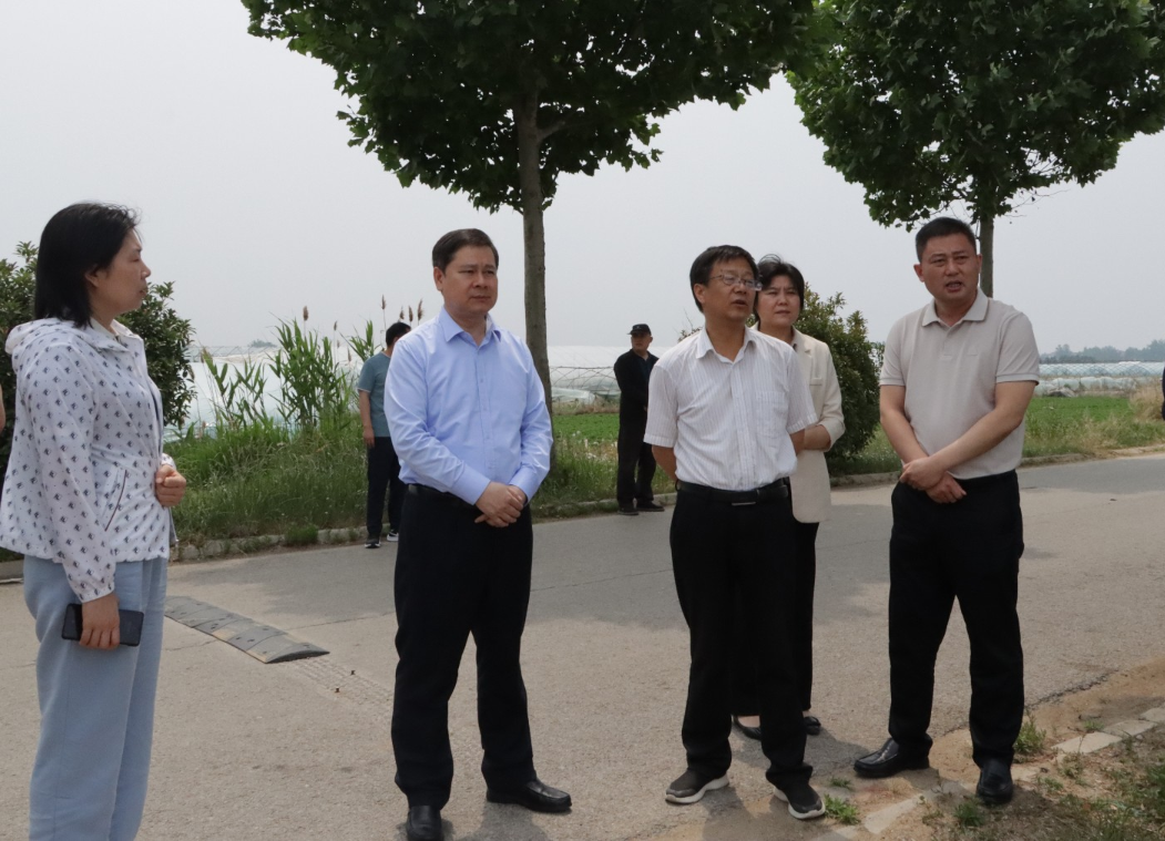 李炳文一行先后到邳苍分洪道长城镇芦塘村两处检查点,现场查看分洪道