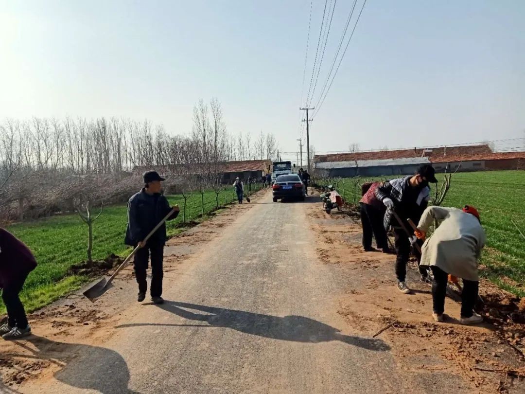 村民在绿化村庄道路