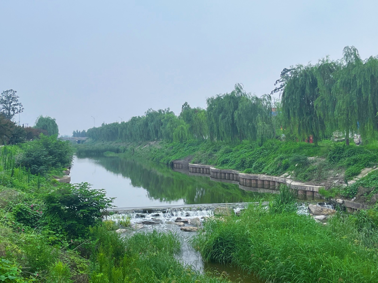 青州市谭坊镇三化夯实河长责任营造水清岸绿新生态