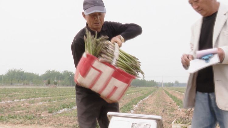 Still1201_00371_compressed