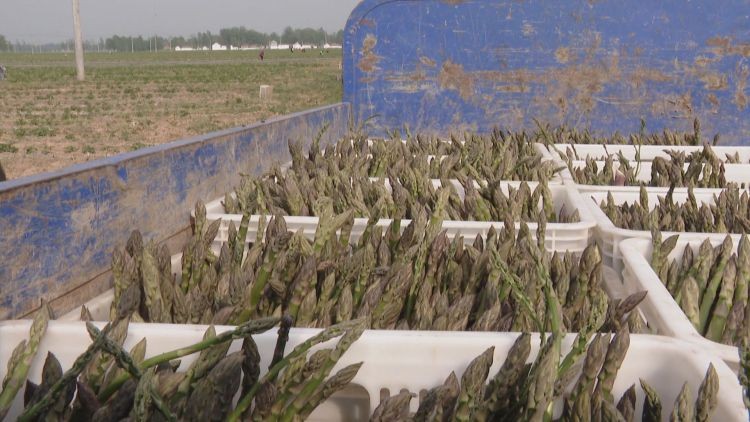 Still1201_00361_compressed