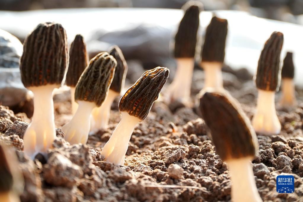 微信图片_20230223115535