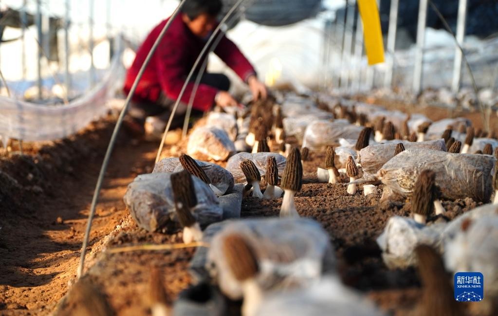 微信图片_20230223114631