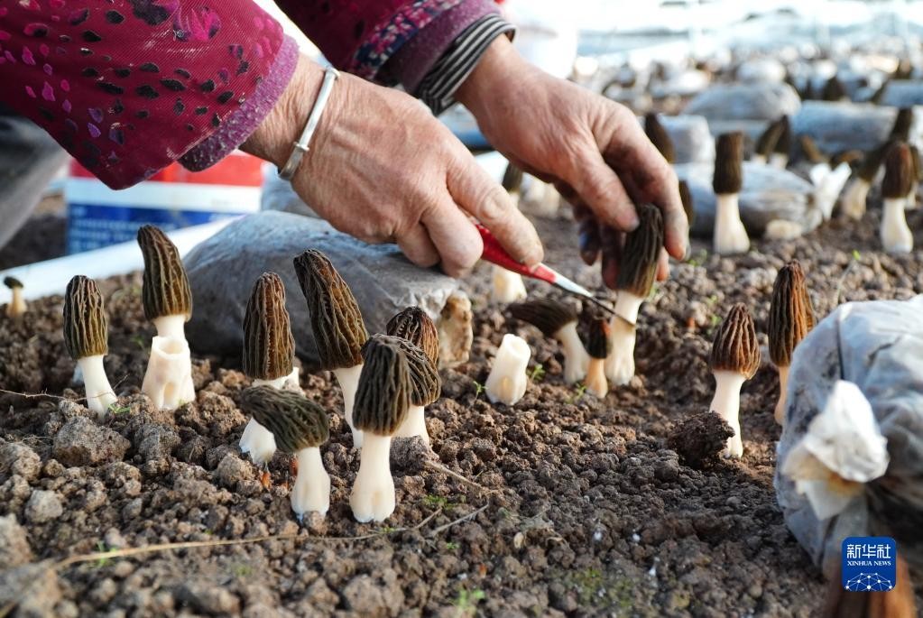 微信图片_20230223115543