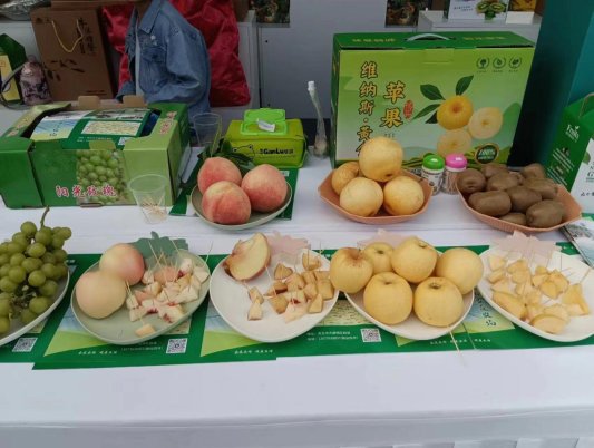乡村振兴如何搞？丰收节里找答案