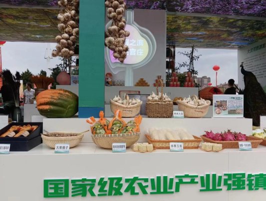 乡村振兴如何搞？丰收节里找答案