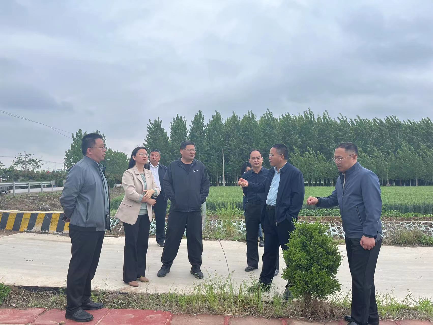 市农业农村局副局长史成慧一行到街道实地考察高效设施农业储备项目，县农业农村局党组书记、局长孙传国，街道党工委书记王喜娟，街道党工委副书记、办事处主任孙全功陪同 (1).jpg