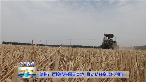 露天焚烧1