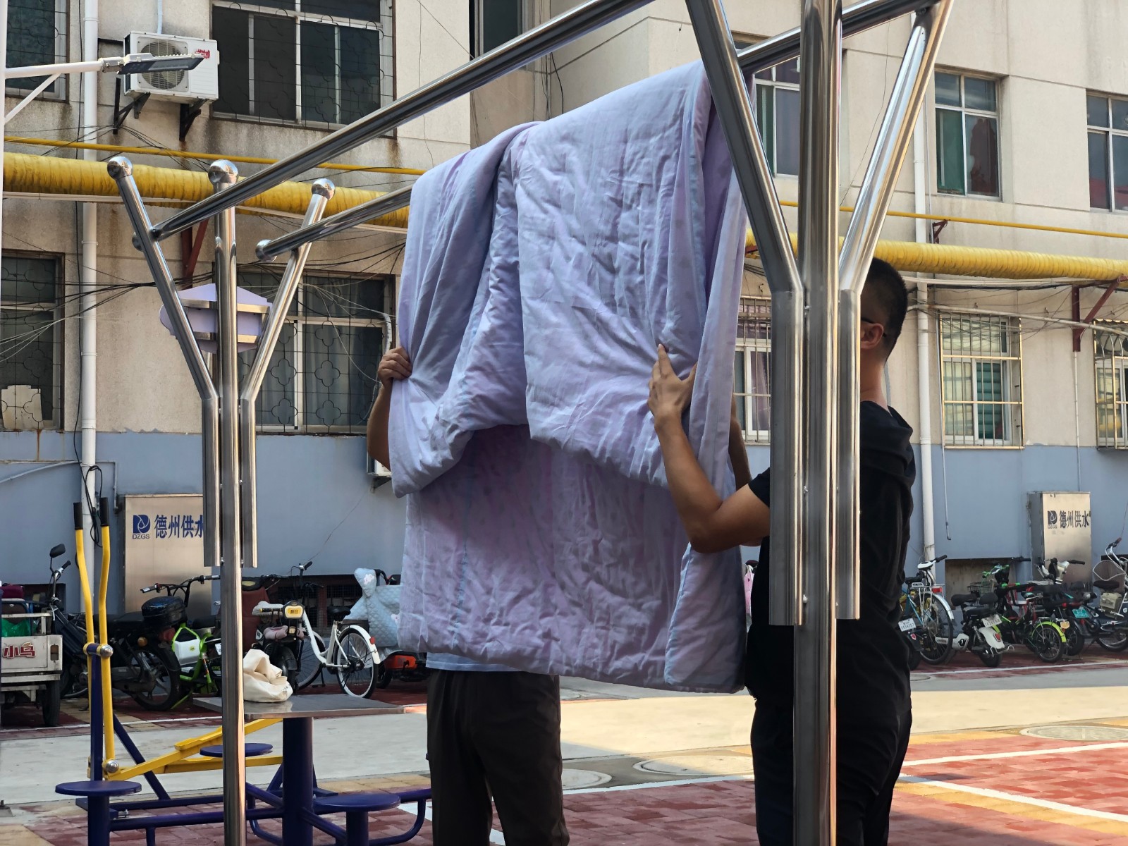 德城区公开招聘中小学预备教师!