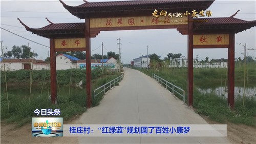 桂庄村1