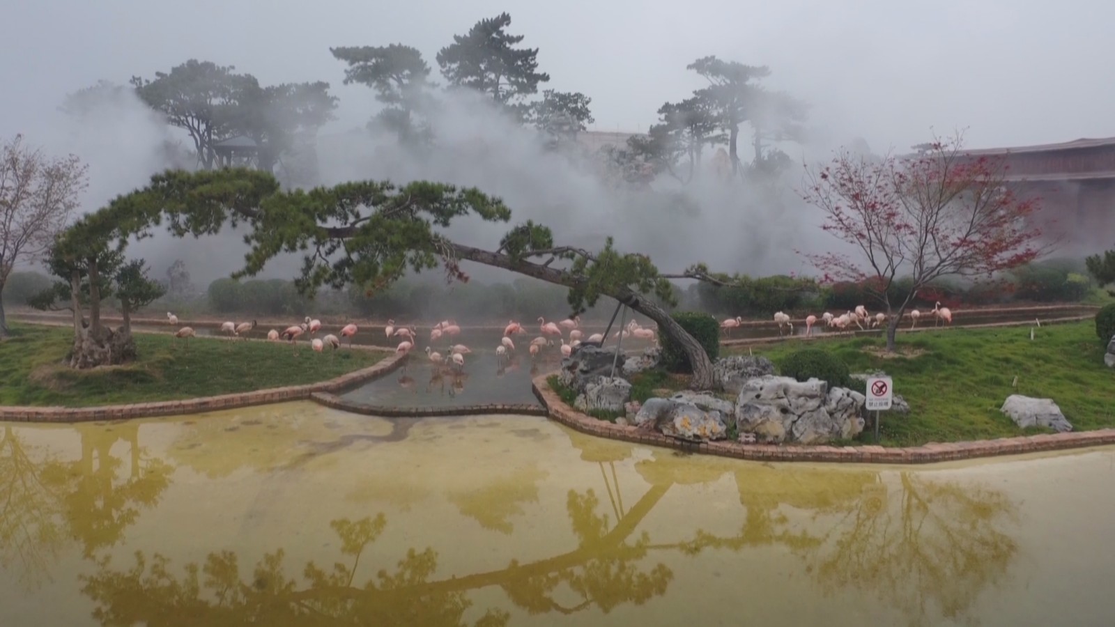 齐河1