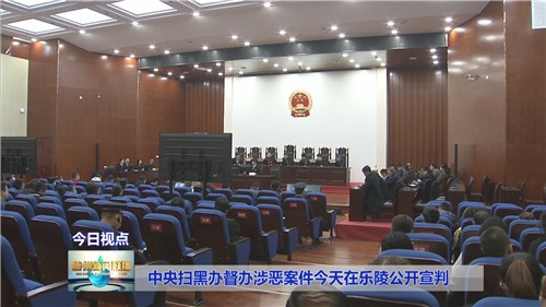 乐陵市人民法院公开宣判一起恶势力犯罪集团案