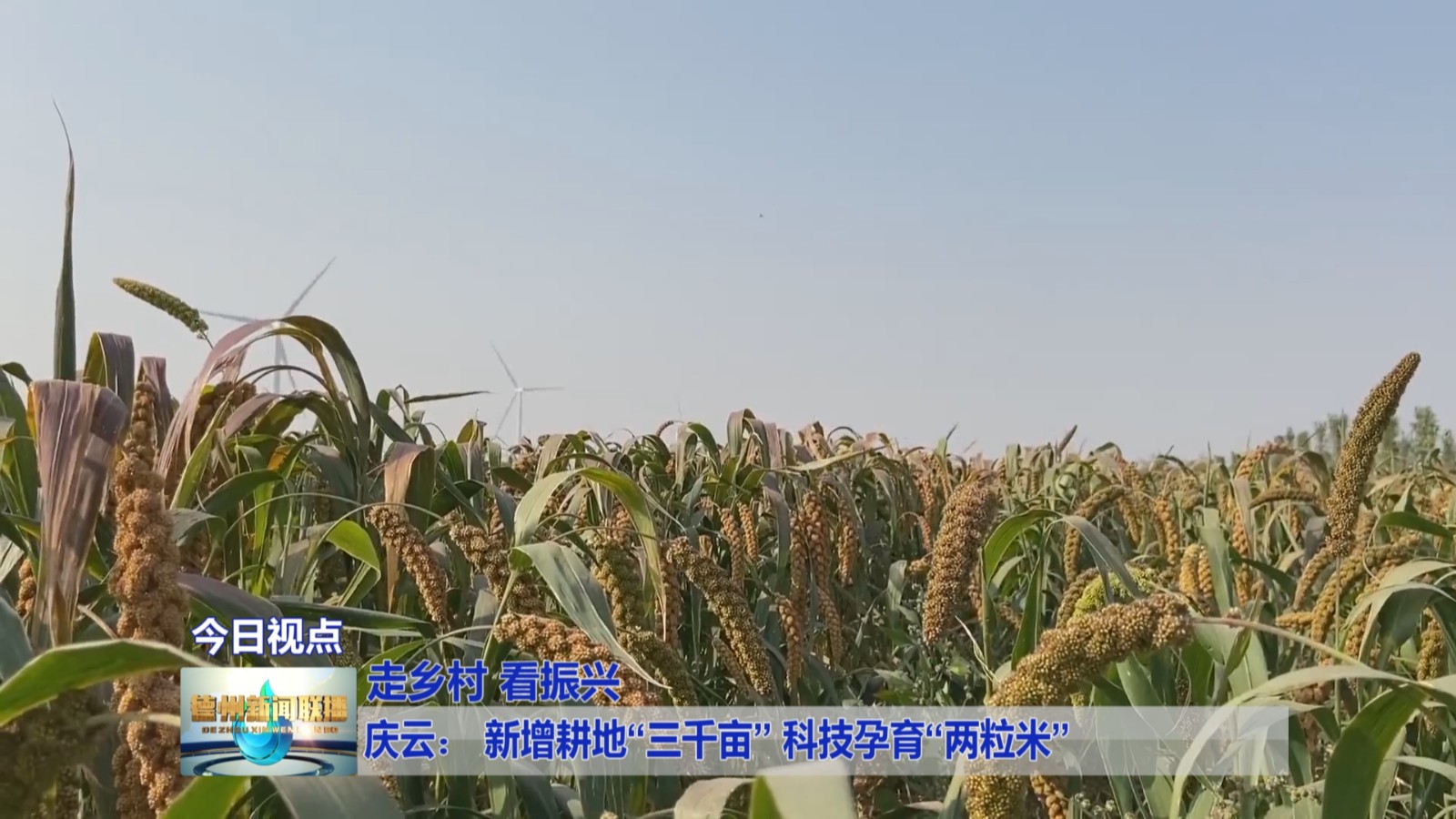 庆云2