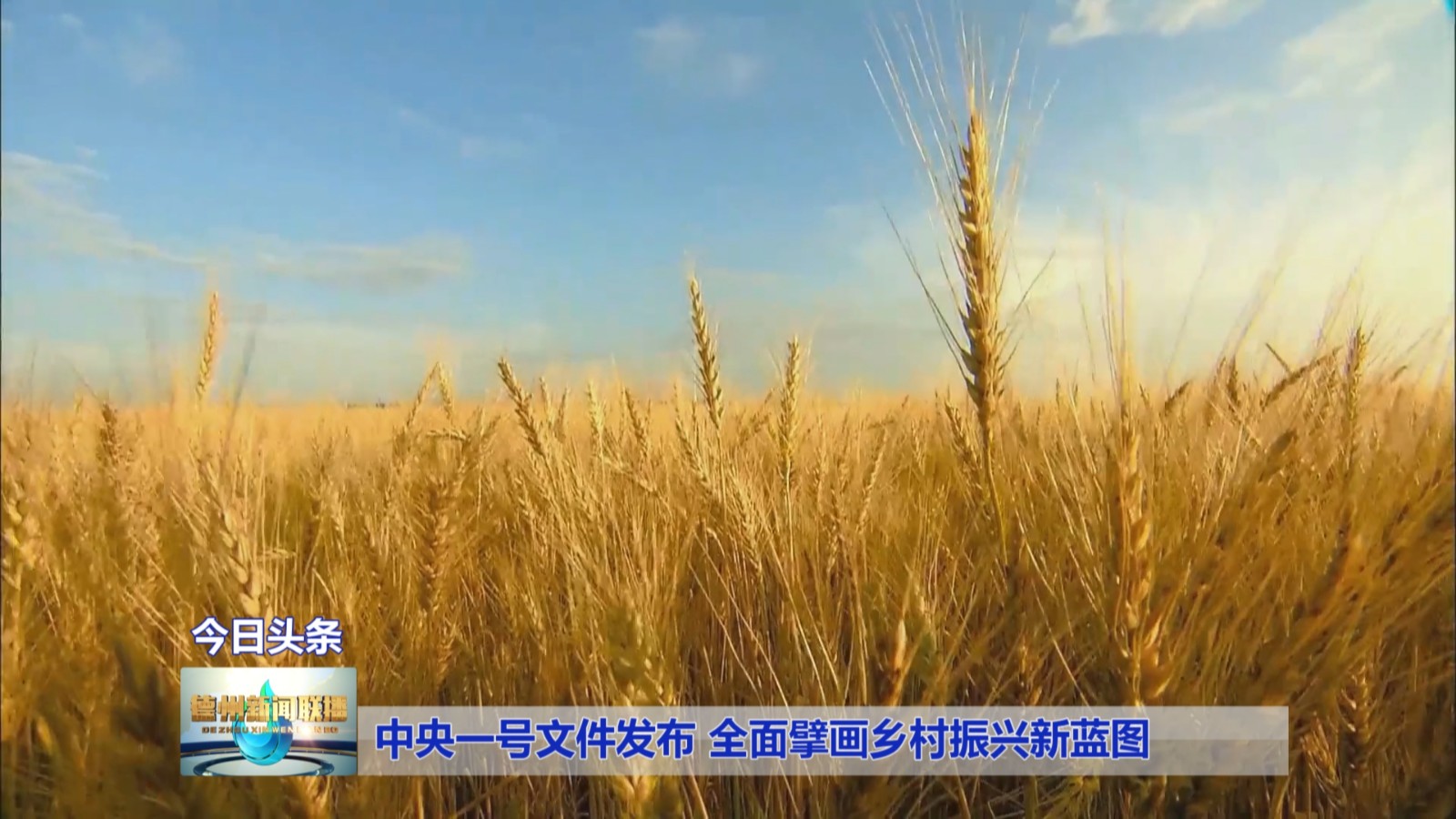 中央一号文件发布全面擘画乡村振兴新蓝图