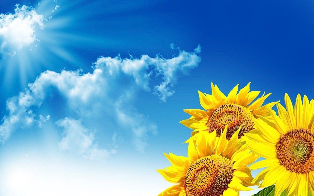 微信图片_20210419190921