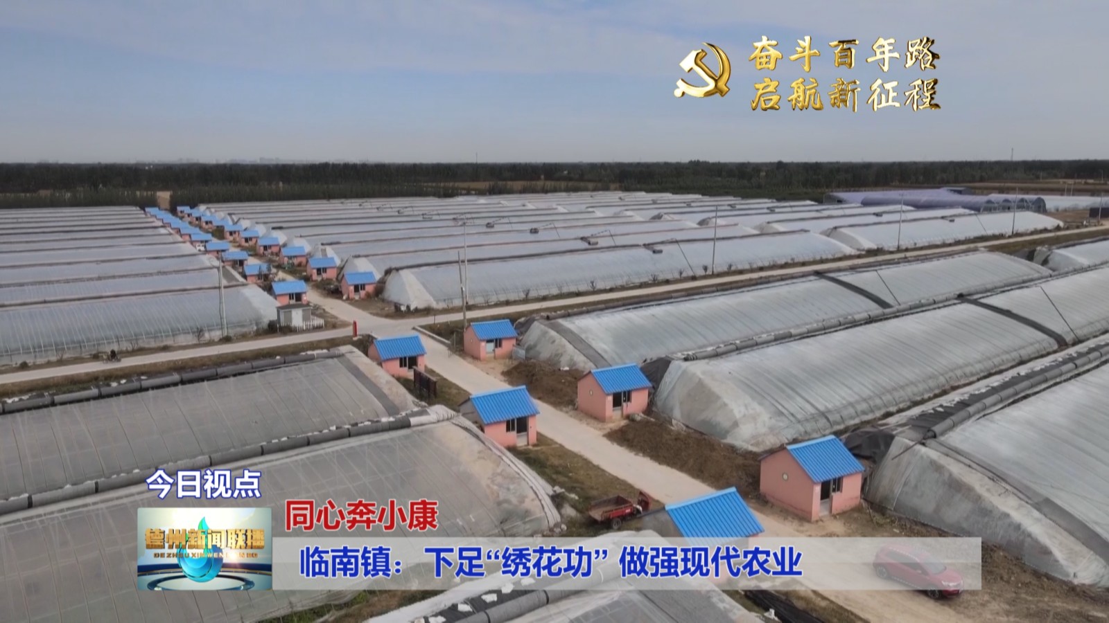 奋斗百年路启航新征程同心奔小康临南镇下足绣花功做强现代农业