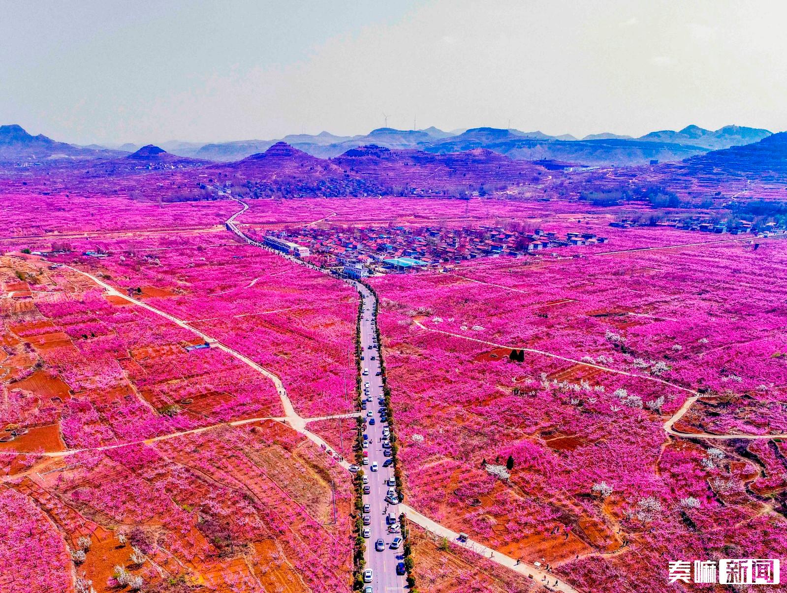 山亭小李庄:闲置小院又复活 空心村再变活力村