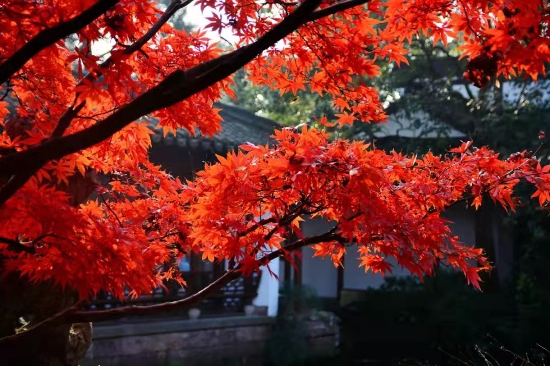 微信图片_20210923203513