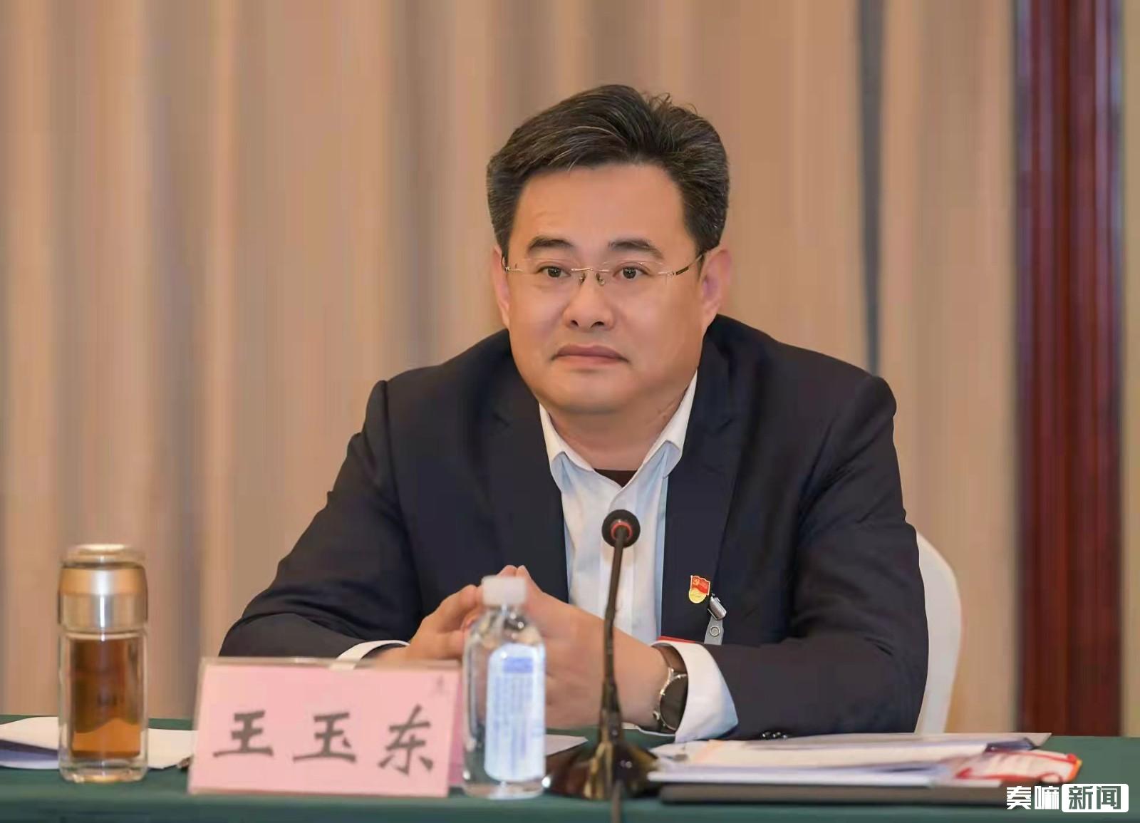 走在前争一流两会说德州市人大代表平原县委书记王玉