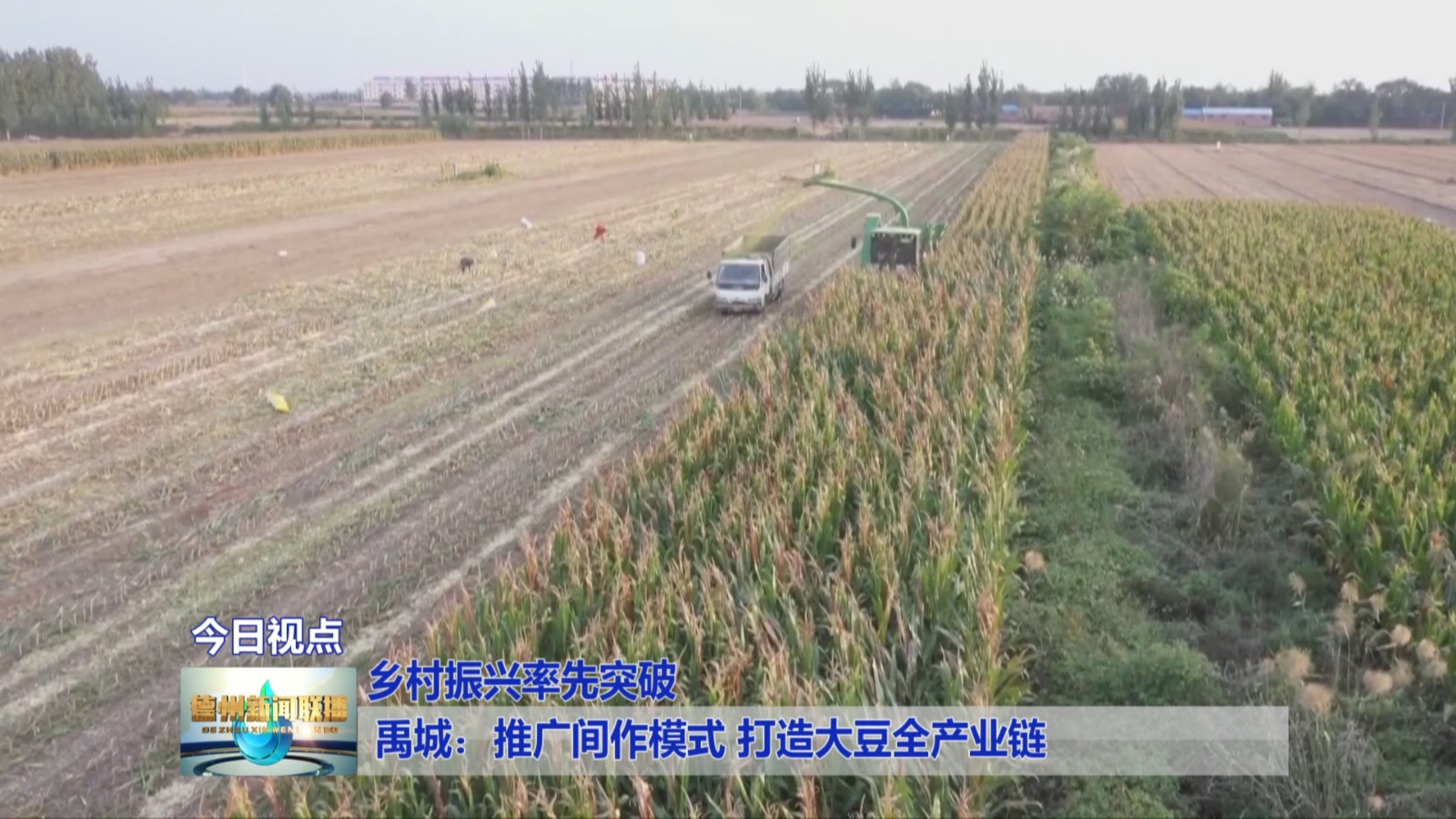 禹城：推广间作模式