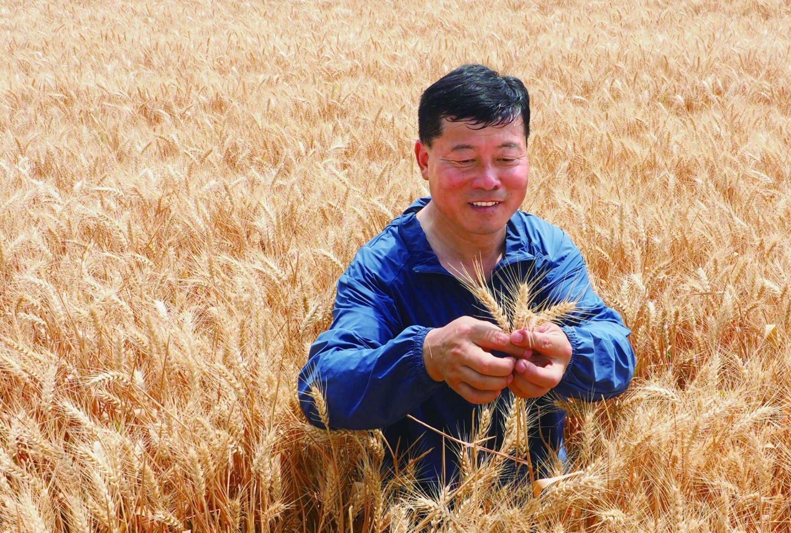 魏德东