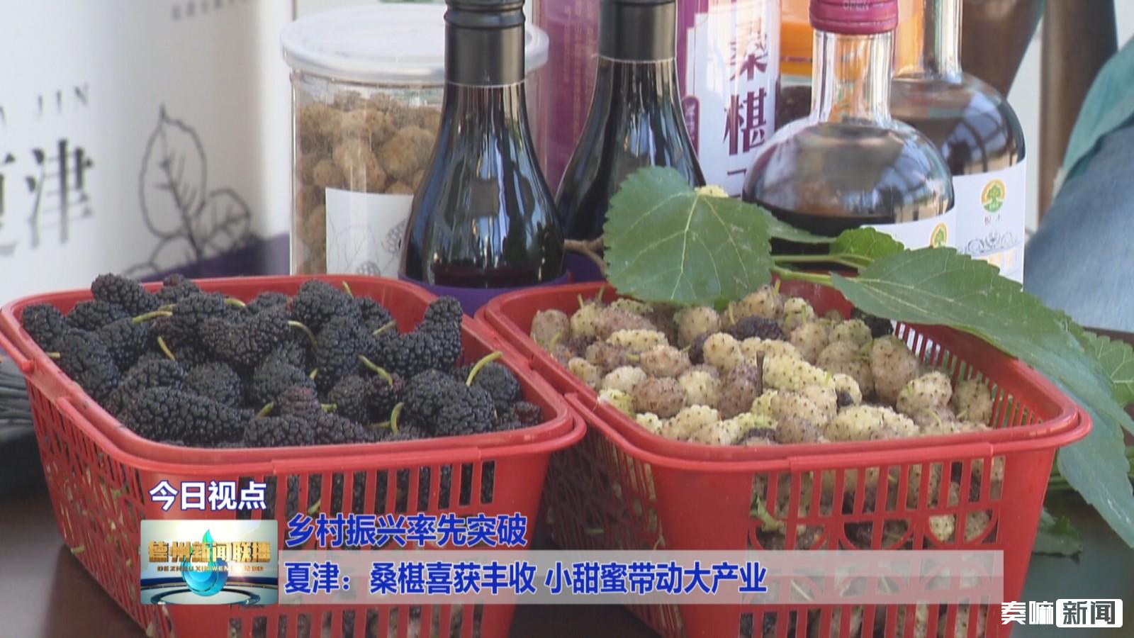 夏津:桑椹喜获丰收