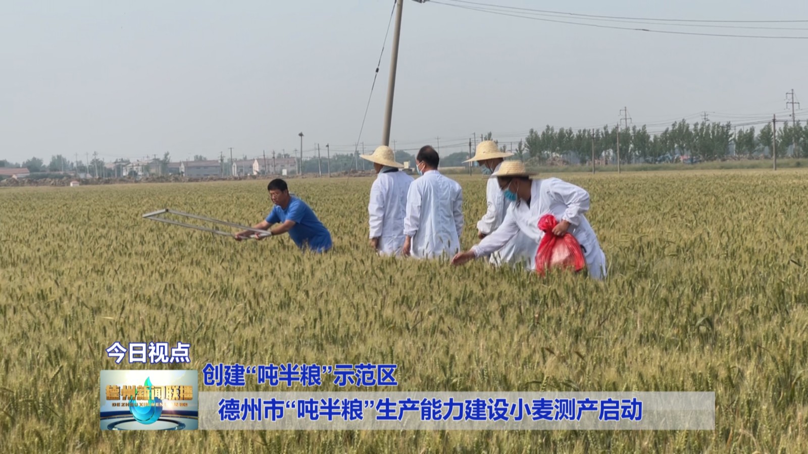 吨半粮3