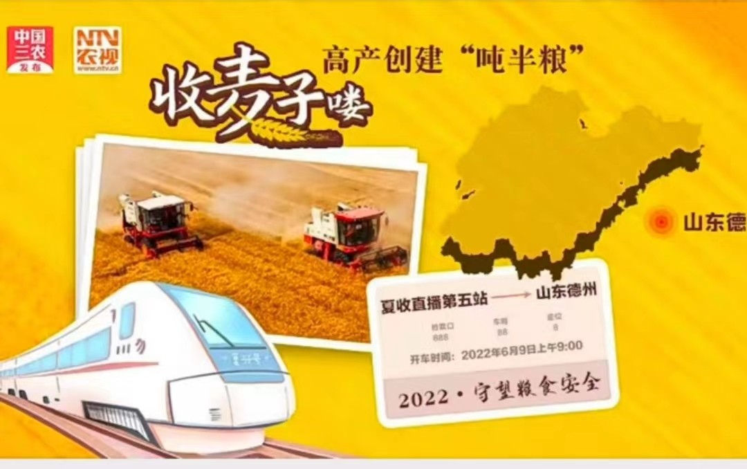 直播回看高产创建吨半粮百万奖粮王助力吨半粮