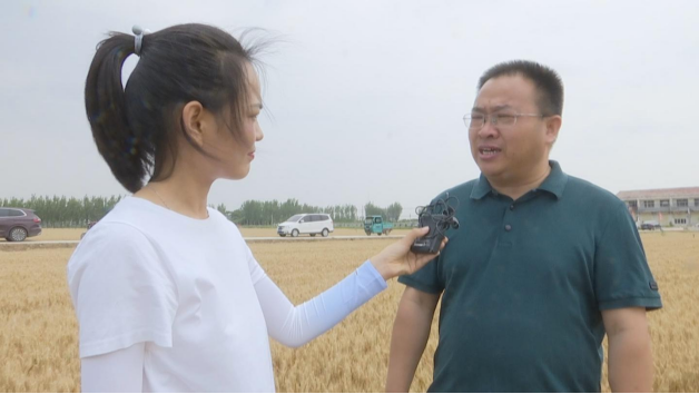 临邑县翟家镇党委书记张万里:"产量不是靠运气,也不是靠天气,靠的是