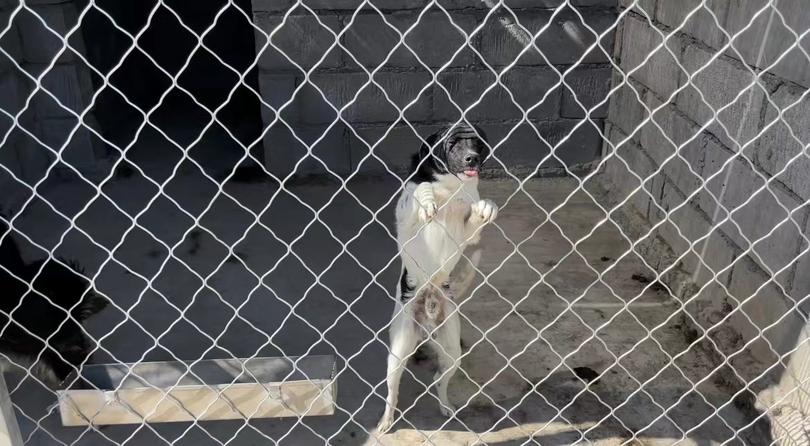 微信图片_202206251318345