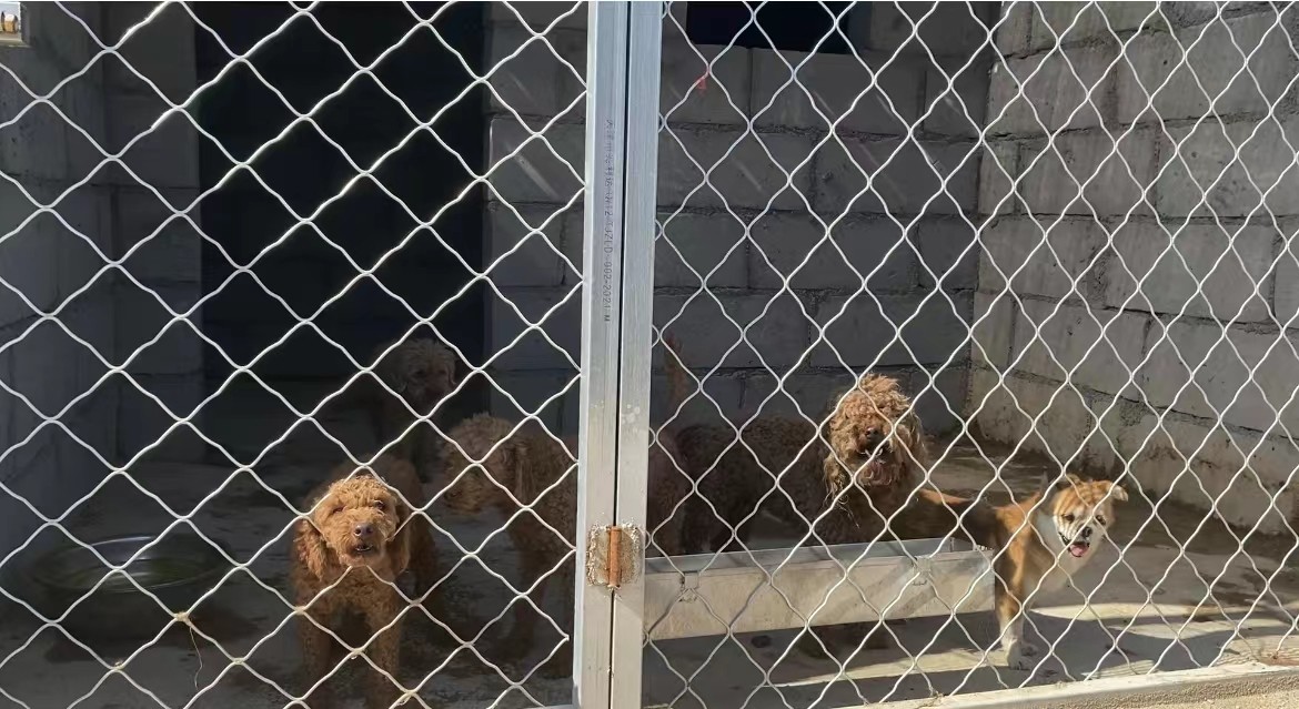 微信图片_202206251318342