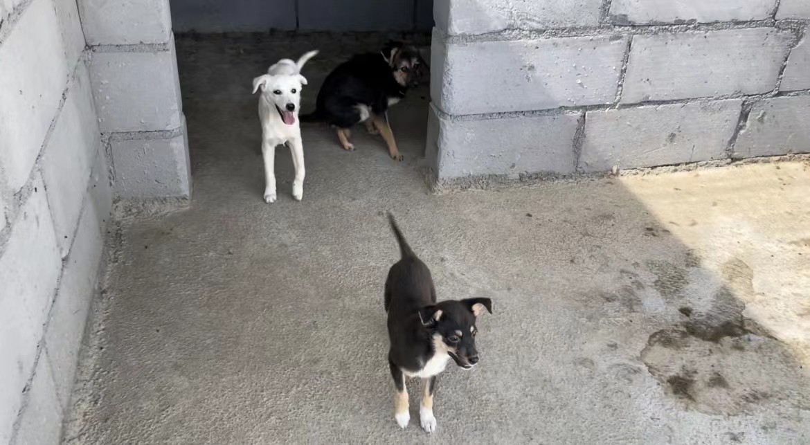 微信图片_202206251318347