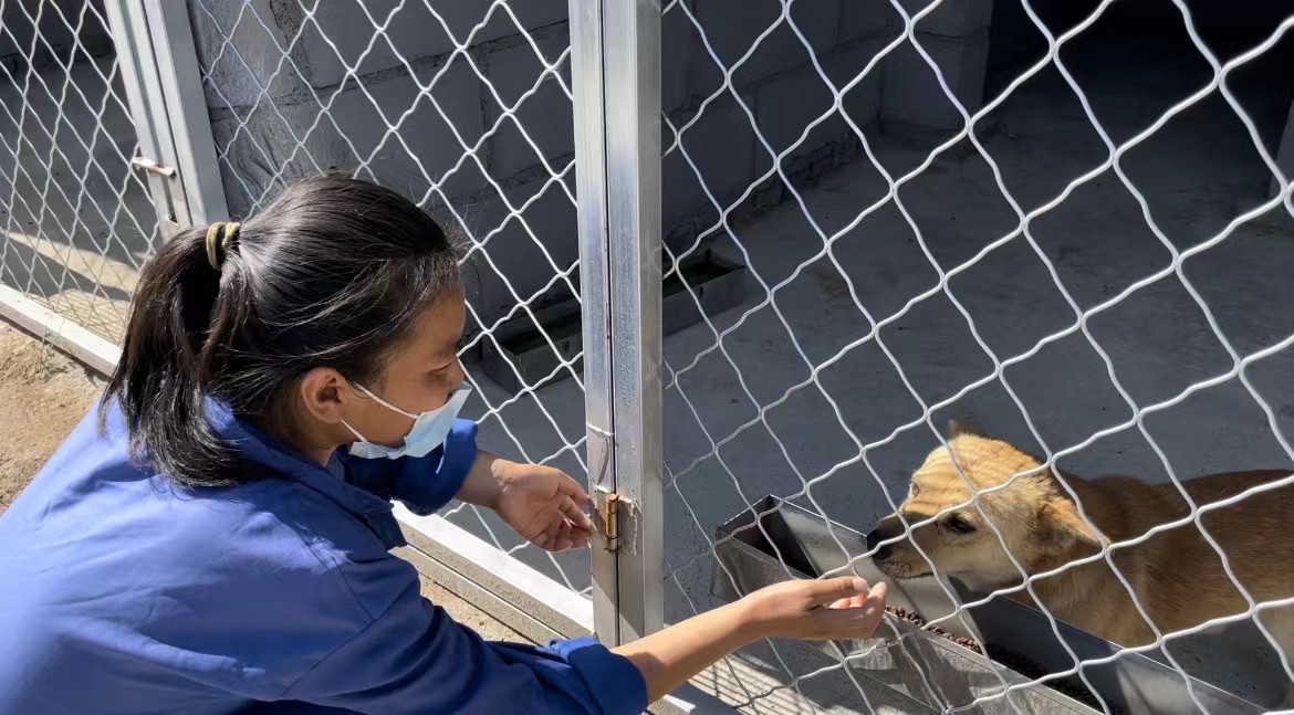 微信图片_202206251318343