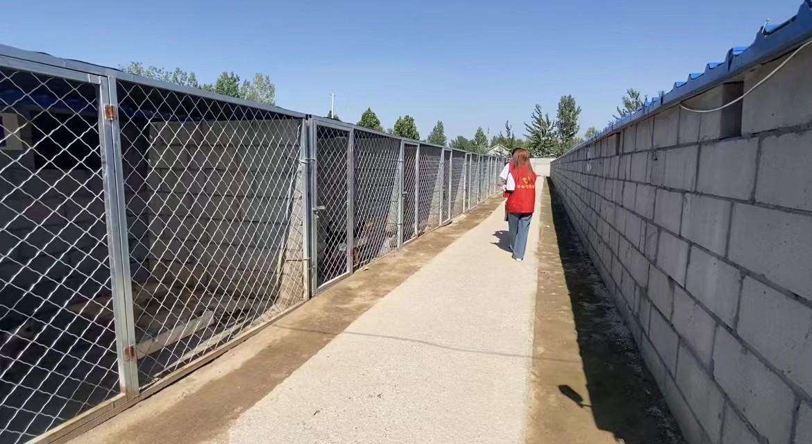 微信图片_202206251318341