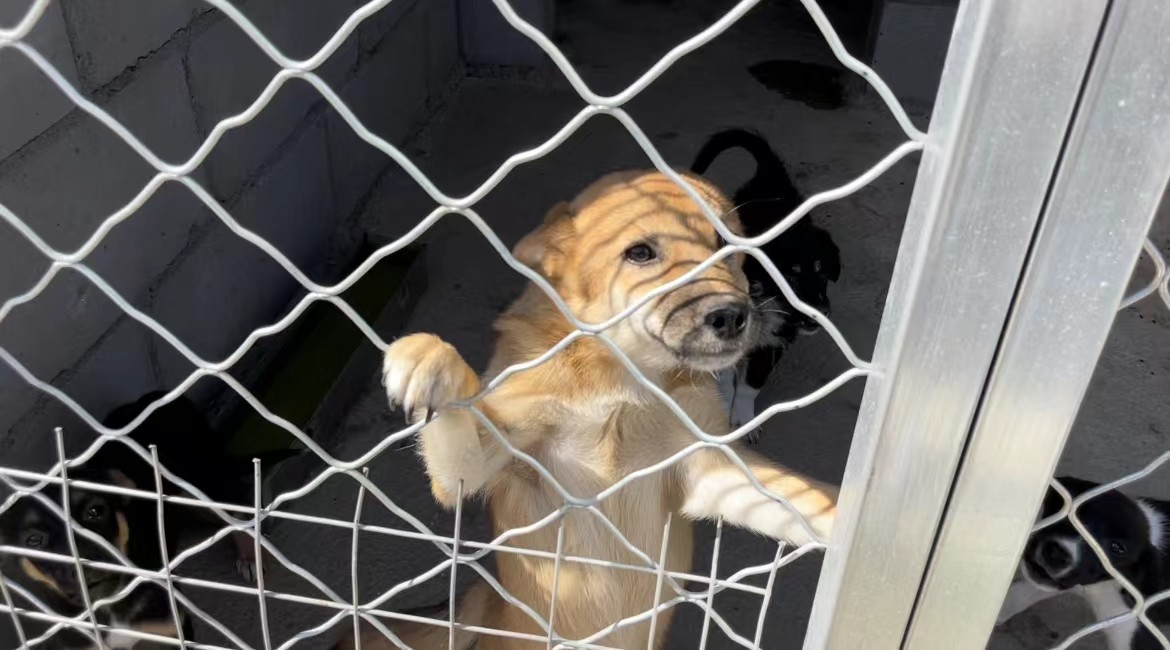 微信图片_202206251318346