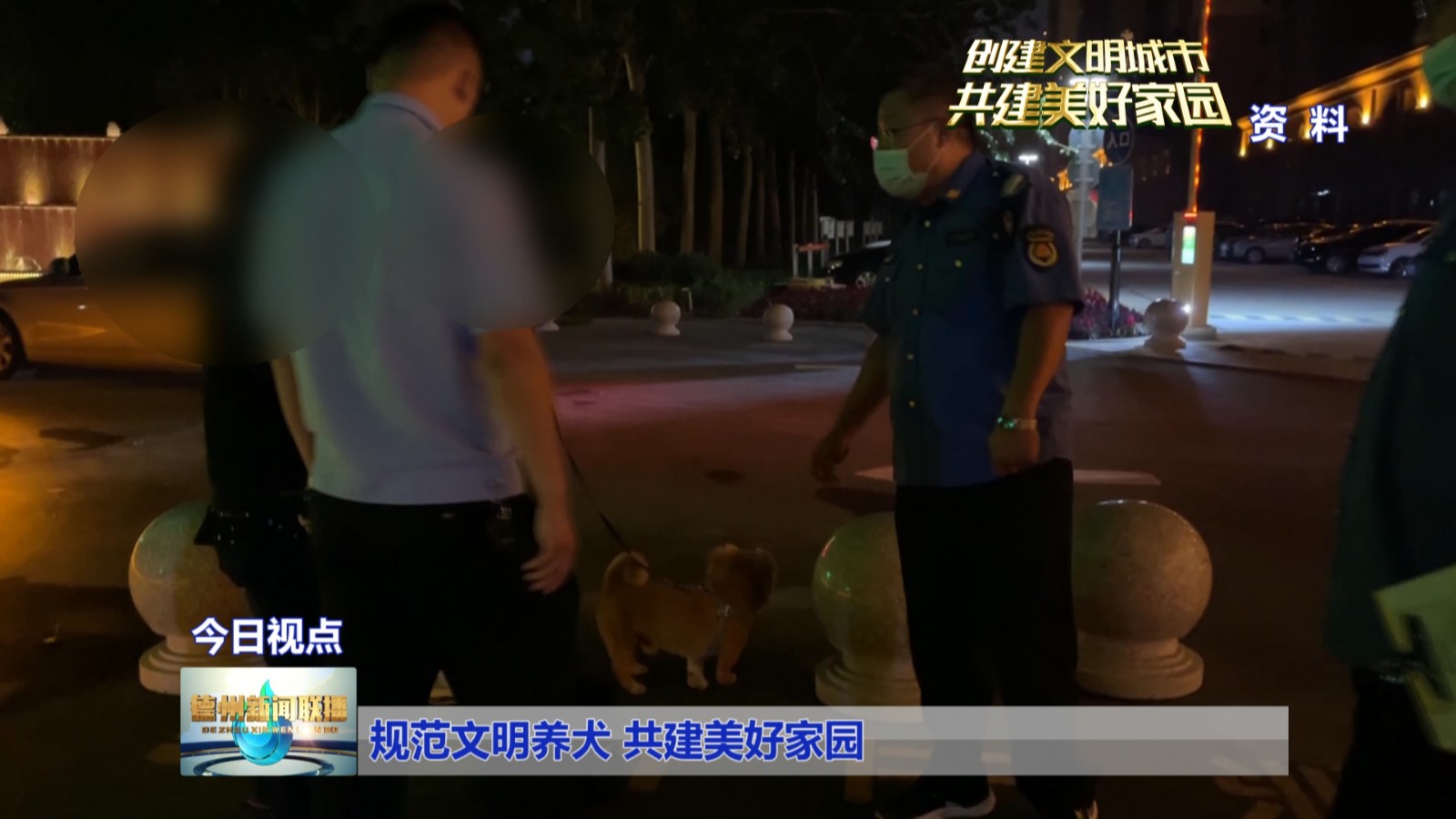 文明养犬1