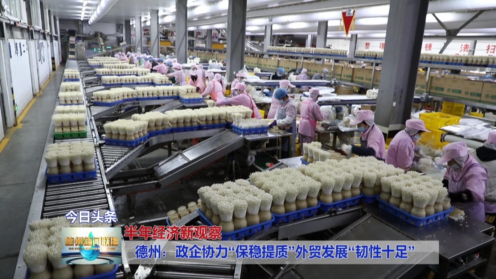 【半年经济新观察】德州：政企协力“保稳提质”外贸发展“韧性十足”3