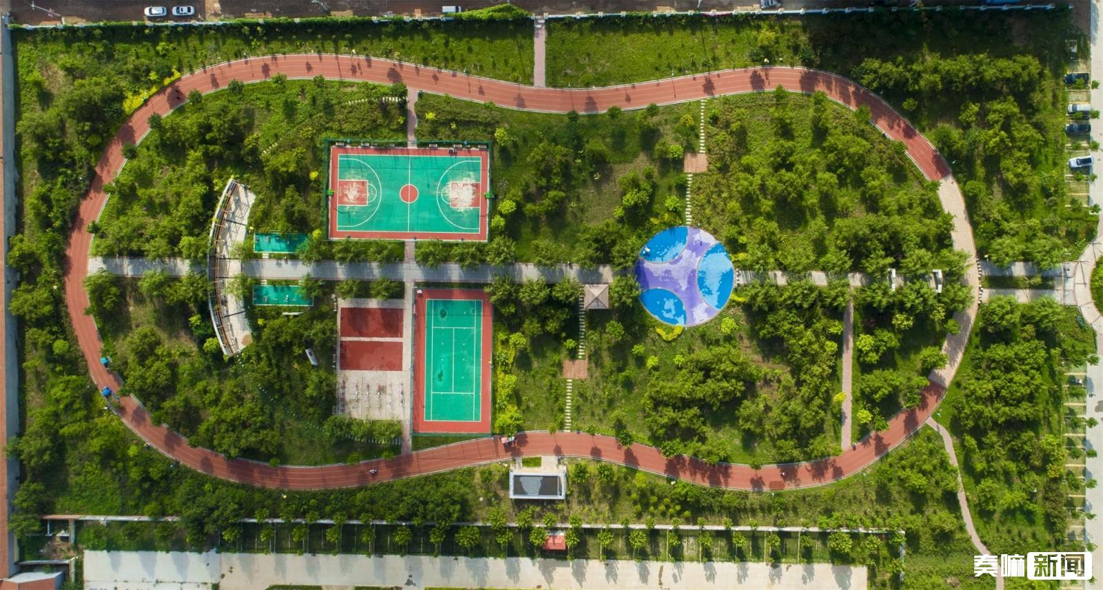 乐陵体育公园健康步道