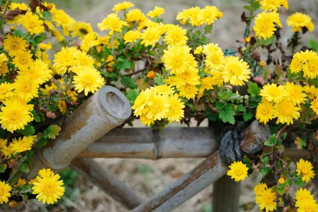 微信图片_20221001115852